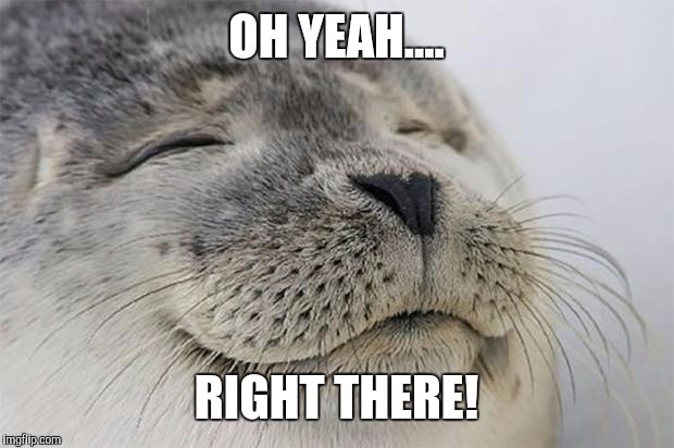 Satisfied Seal | OH YEAH.... RIGHT THERE! | image tagged in memes,satisfied seal | made w/ Imgflip meme maker