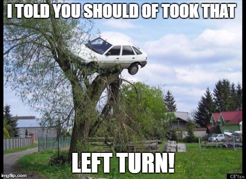 Secure Parking Meme | I TOLD YOU SHOULD OF TOOK THAT; LEFT TURN! | image tagged in memes,secure parking | made w/ Imgflip meme maker