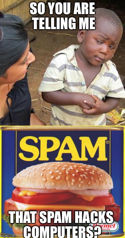 SO YOU ARE TELLING ME; THAT SPAM HACKS COMPUTERS? | image tagged in spam,third world skeptical kid | made w/ Imgflip meme maker