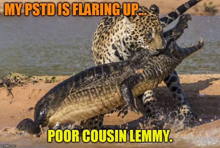 Jaguar vs Crocodile | MY PSTD IS FLARING UP... POOR COUSIN LEMMY. | image tagged in jaguar vs crocodile | made w/ Imgflip meme maker
