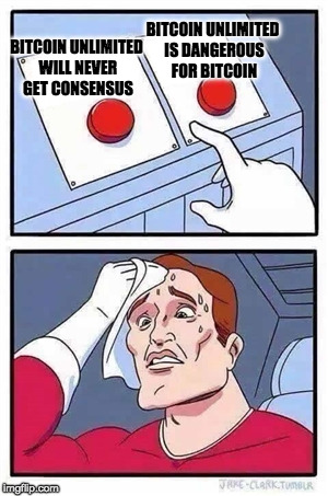 Two Buttons Meme | BITCOIN UNLIMITED IS DANGEROUS FOR BITCOIN; BITCOIN UNLIMITED WILL NEVER GET CONSENSUS | image tagged in two buttons | made w/ Imgflip meme maker