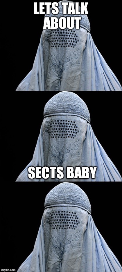 Bad Pun Burka | LETS TALK ABOUT; SECTS BABY | image tagged in bad pun burka | made w/ Imgflip meme maker
