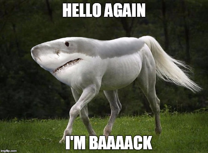 HELLO AGAIN I'M BAAAACK | made w/ Imgflip meme maker