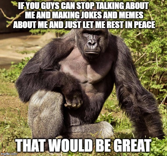 seriously, if people want 2017 to not look like 2016, how about we start by letting it go and letting him r.i.p. | IF YOU GUYS CAN STOP TALKING ABOUT ME AND MAKING JOKES AND MEMES ABOUT ME AND JUST LET ME REST IN PEACE; THAT WOULD BE GREAT | image tagged in harambe,2016,2017 | made w/ Imgflip meme maker
