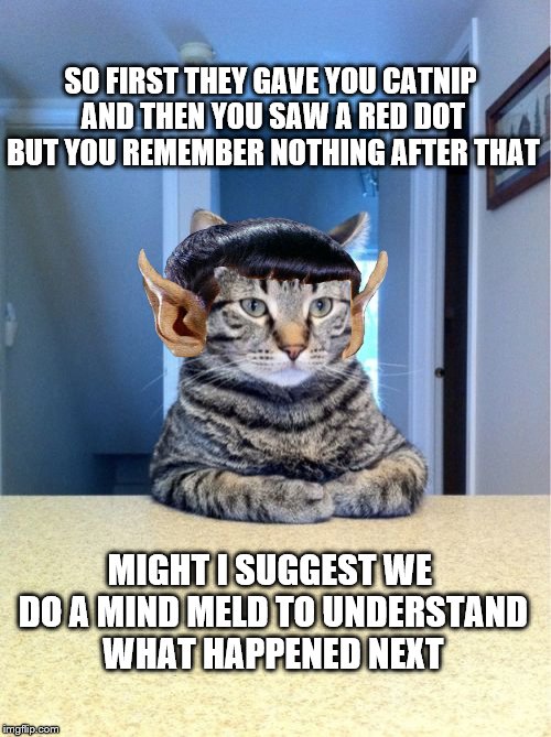 It helps when you don't remember but your therapist is a half Vulcan cat | SO FIRST THEY GAVE YOU CATNIP AND THEN YOU SAW A RED DOT BUT YOU REMEMBER NOTHING AFTER THAT; MIGHT I SUGGEST WE DO A MIND MELD TO UNDERSTAND WHAT HAPPENED NEXT | image tagged in memes,take a seat cat,red dot,star trek,cats,therapy | made w/ Imgflip meme maker