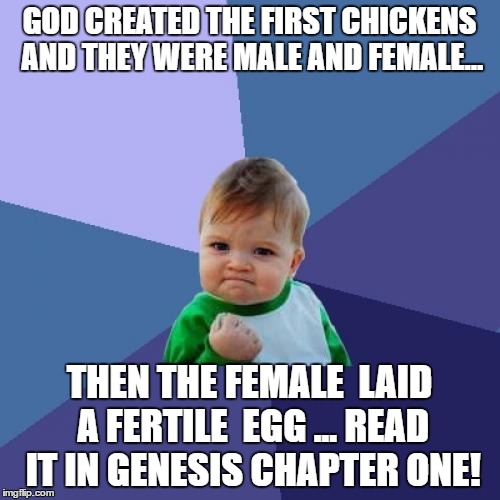 Success Kid Meme | GOD CREATED THE FIRST CHICKENS AND THEY WERE MALE AND FEMALE... THEN THE FEMALE  LAID A FERTILE  EGG ... READ IT IN GENESIS CHAPTER ONE! | image tagged in memes,success kid | made w/ Imgflip meme maker