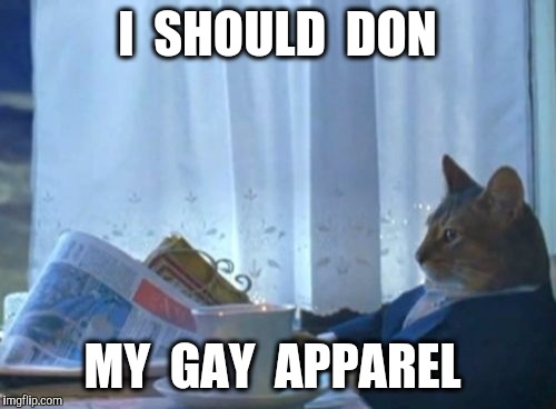 I Should Buy A Boat Cat Meme | I  SHOULD  DON; MY  GAY  APPAREL | image tagged in i should buy a boat cat,christmas,memes | made w/ Imgflip meme maker
