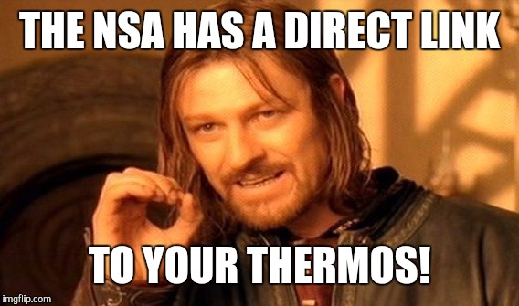 One Does Not Simply Meme | THE NSA HAS A DIRECT LINK TO YOUR THERMOS! | image tagged in memes,one does not simply | made w/ Imgflip meme maker