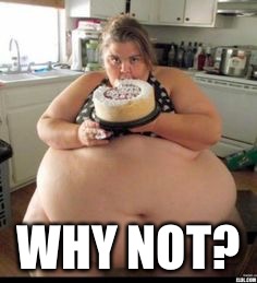 WHY NOT? | made w/ Imgflip meme maker