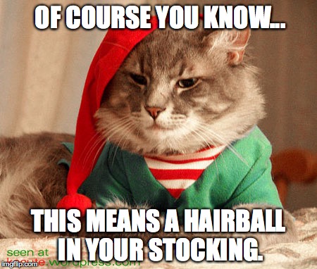 Christmas Cat | OF COURSE YOU KNOW... THIS MEANS A HAIRBALL IN YOUR STOCKING. | image tagged in cat,hairball,christmas | made w/ Imgflip meme maker