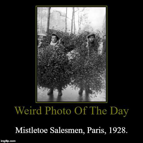 Nice Camouflage  | Weird Photo Of The Day | Mistletoe Salesmen, Paris, 1928. | image tagged in funny,demotivationals,weird,photo of the day,mistletoe,salesmen | made w/ Imgflip demotivational maker