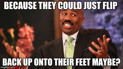 BECAUSE THEY COULD JUST FLIP BACK UP ONTO THEIR FEET MAYBE? | image tagged in memes,steve harvey | made w/ Imgflip meme maker