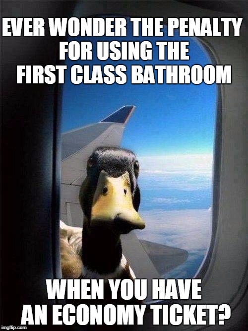 Western Airlines... the OOOoooonly way to fly! | EVER WONDER THE PENALTY FOR USING THE FIRST CLASS BATHROOM; WHEN YOU HAVE AN ECONOMY TICKET? | image tagged in western airlines the ooooooonly way to fly | made w/ Imgflip meme maker