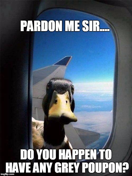 Western Airlines... the OOOoooonly way to fly! | PARDON ME SIR.... DO YOU HAPPEN TO HAVE ANY GREY POUPON? | image tagged in western airlines the ooooooonly way to fly | made w/ Imgflip meme maker