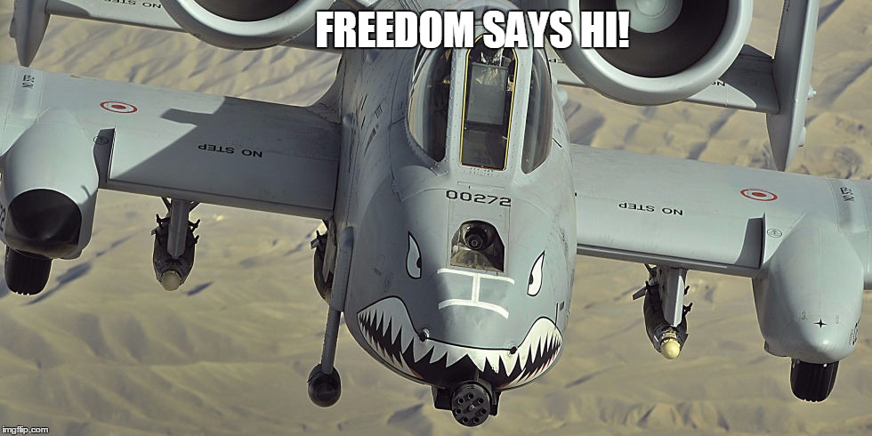 FREEDOM SAYS HI! | made w/ Imgflip meme maker