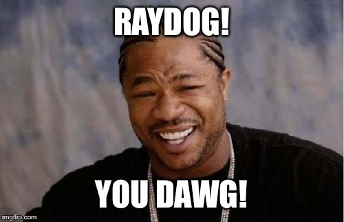 Yo Dawg Heard You | RAYDOG! YOU DAWG! | image tagged in memes,yo dawg heard you | made w/ Imgflip meme maker