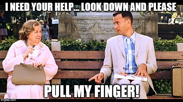 To what extent will you go to help another person? | I NEED YOUR HELP... LOOK DOWN AND PLEASE; PULL MY FINGER! | image tagged in gump,memes,pull my finger,fart,old man,please help me | made w/ Imgflip meme maker