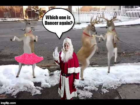 Santa is confused AGAIN! | Which one is Dancer again? | image tagged in christmas,reindeer,funny | made w/ Imgflip meme maker