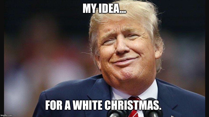 MY IDEA... FOR A WHITE CHRISTMAS. | image tagged in donald trump,racism,fuck donald trump | made w/ Imgflip meme maker