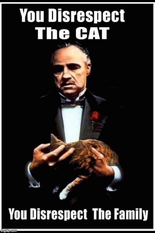 image tagged in the godfather | made w/ Imgflip meme maker