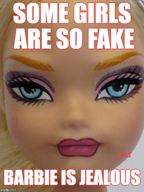 BITCHES | SOME GIRLS ARE SO FAKE; BARBIE IS JEALOUS | image tagged in funny | made w/ Imgflip meme maker