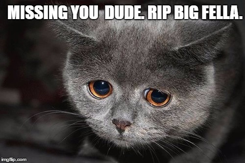 Missing you  | MISSING YOU  DUDE. RIP BIG FELLA. | image tagged in missing you | made w/ Imgflip meme maker