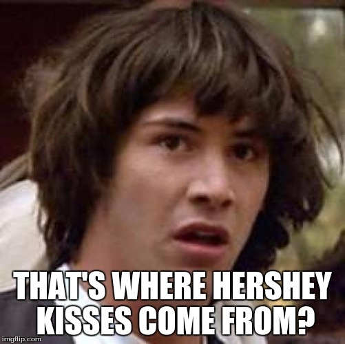 Conspiracy Keanu Meme | THAT'S WHERE HERSHEY KISSES COME FROM? | image tagged in memes,conspiracy keanu | made w/ Imgflip meme maker