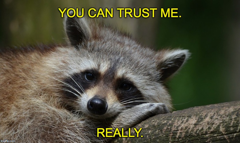 raccoon | YOU CAN TRUST ME. REALLY. | image tagged in trust - | made w/ Imgflip meme maker