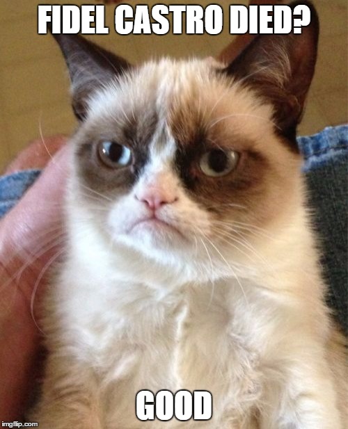 Grumpy Cat Meme | FIDEL CASTRO DIED? GOOD | image tagged in memes,grumpy cat | made w/ Imgflip meme maker