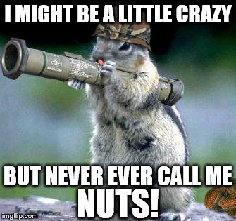 Bazooka Squirrel I Dare You! | I MIGHT BE A LITTLE CRAZY; BUT NEVER EVER CALL ME; NUTS! | image tagged in memes,bazooka squirrel,i dare you,say that again i dare you | made w/ Imgflip meme maker