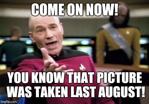 Picard Wtf Meme | COME ON NOW! YOU KNOW THAT PICTURE WAS TAKEN LAST AUGUST! | image tagged in memes,picard wtf | made w/ Imgflip meme maker