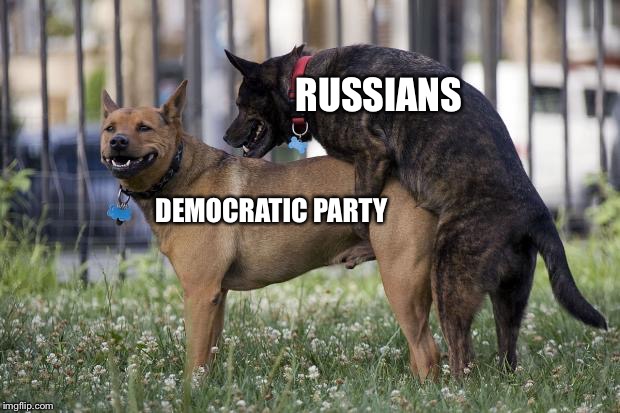 Dogs humping | RUSSIANS; DEMOCRATIC PARTY | image tagged in dogs humping | made w/ Imgflip meme maker