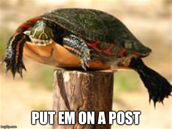 PUT EM ON A POST | made w/ Imgflip meme maker