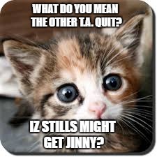 worried kitty | WHAT DO YOU MEAN THE OTHER T.A. QUIT? IZ STILLS MIGHT GET JINNY? | image tagged in kitten,kitty,worried,scared | made w/ Imgflip meme maker