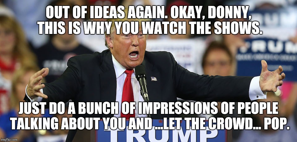 trump bitch | OUT OF IDEAS AGAIN. OKAY, DONNY, THIS IS WHY YOU WATCH THE SHOWS. JUST DO A BUNCH OF IMPRESSIONS OF PEOPLE TALKING ABOUT YOU AND ...LET THE CROWD... POP. | image tagged in trump bitch,memes,brain dead | made w/ Imgflip meme maker