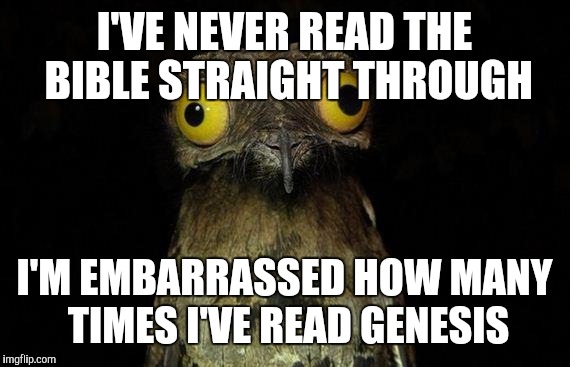 Weird Stuff I Do Potoo | I'VE NEVER READ THE BIBLE STRAIGHT THROUGH; I'M EMBARRASSED HOW MANY TIMES I'VE READ GENESIS | image tagged in memes,weird stuff i do potoo | made w/ Imgflip meme maker