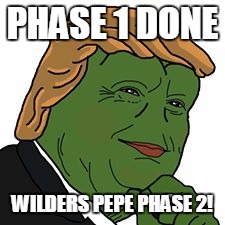 Pepe Trump | PHASE 1 DONE; WILDERS PEPE PHASE 2! | image tagged in pepe trump | made w/ Imgflip meme maker