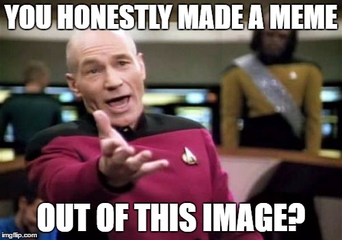 Picard Wtf | YOU HONESTLY MADE A MEME; OUT OF THIS IMAGE? | image tagged in memes,picard wtf | made w/ Imgflip meme maker