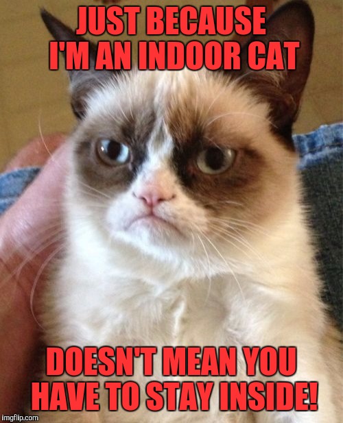 Grumpy Cat Meme | JUST BECAUSE I'M AN INDOOR CAT; DOESN'T MEAN YOU HAVE TO STAY INSIDE! | image tagged in memes,grumpy cat | made w/ Imgflip meme maker