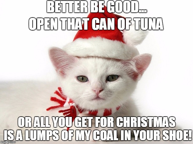 BETTER BE GOOD... OPEN THAT CAN OF TUNA; OR ALL YOU GET FOR CHRISTMAS IS A LUMPS OF MY COAL IN YOUR SHOE! | image tagged in santa claws is watching you | made w/ Imgflip meme maker