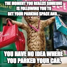 Cat shopping | THE MOMENT YOU REALIZE SOMEONE IS FOLLOWING YOU TO GET YOUR PARKING SPACE AND.... YOU HAVE NO IDEA WHERE YOU PARKED YOUR CAR. | image tagged in cat shopping | made w/ Imgflip meme maker