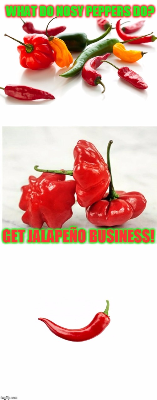 Bad Pun Peppers | WHAT DO NOSY PEPPERS DO? GET JALAPEÑO BUSINESS! | image tagged in meme,template,bad pun peppers,shabbyrose2 template,bad puns,dad jokes | made w/ Imgflip meme maker