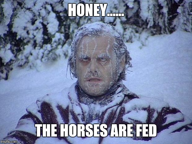 Jack Nicholson The Shining Snow | HONEY...... THE HORSES ARE FED | image tagged in memes,jack nicholson the shining snow | made w/ Imgflip meme maker