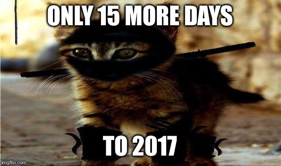 ONLY 15 MORE DAYS TO 2017 | made w/ Imgflip meme maker