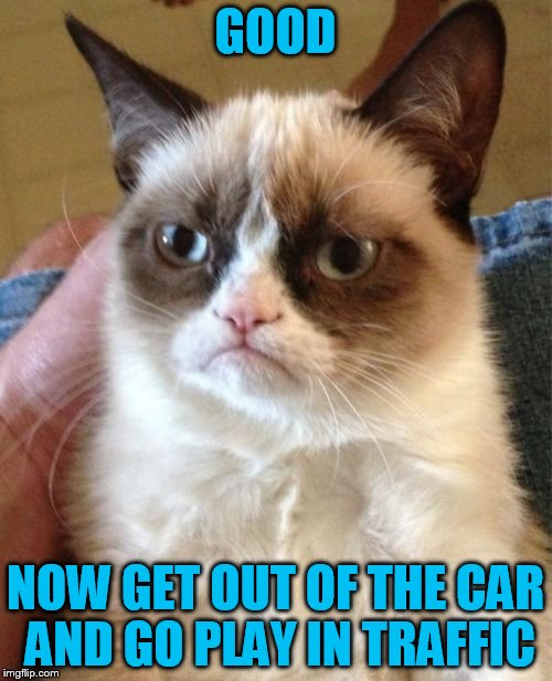 Grumpy Cat Meme | GOOD NOW GET OUT OF THE CAR AND GO PLAY IN TRAFFIC | image tagged in memes,grumpy cat | made w/ Imgflip meme maker