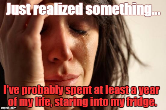 If This Ain't a First World Problem, Then WHAT IS?? lol | Just realized something... I've probably spent at least a year of my life, staring into my fridge. | image tagged in memes,first world problems | made w/ Imgflip meme maker