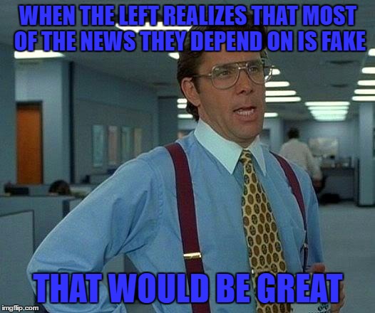 now they want to fact check real news | WHEN THE LEFT REALIZES THAT MOST OF THE NEWS THEY DEPEND ON IS FAKE; THAT WOULD BE GREAT | image tagged in memes,that would be great | made w/ Imgflip meme maker