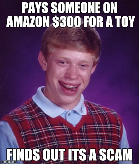 Bad Luck Brian Meme | PAYS SOMEONE ON AMAZON $300 FOR A TOY; FINDS OUT ITS A SCAM | image tagged in memes,bad luck brian | made w/ Imgflip meme maker