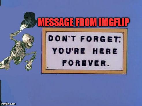 This has been a message from imgflip | MESSAGE FROM IMGFLIP | image tagged in imgflip,message,skeleton,funny | made w/ Imgflip meme maker