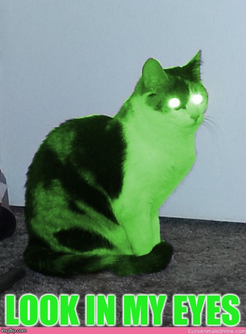 Hypno Raycat | LOOK IN MY EYES | image tagged in hypno raycat | made w/ Imgflip meme maker